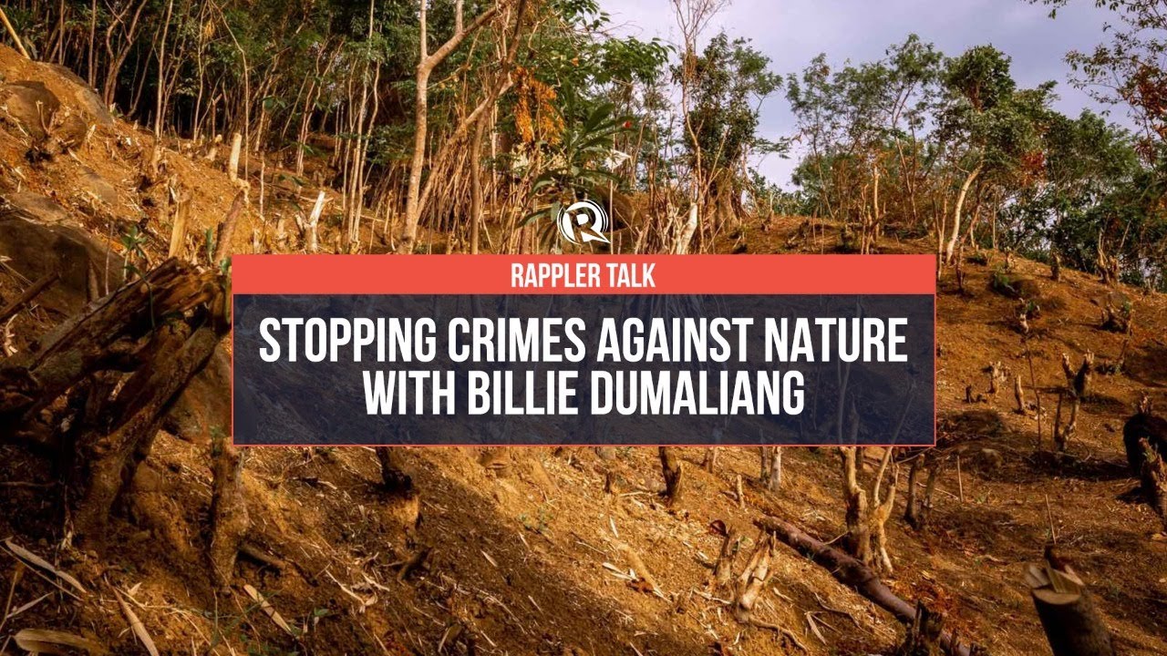 Rappler Talk: Stopping crimes against nature with Billie Dumaliang